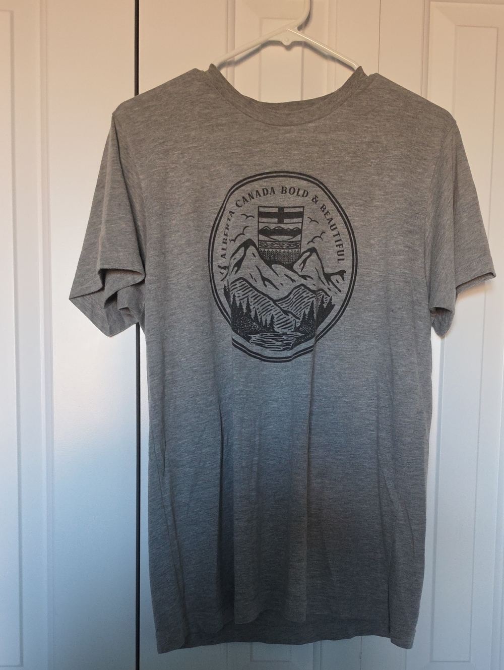Men's Gray Graphic Crew Neck T-Shirt